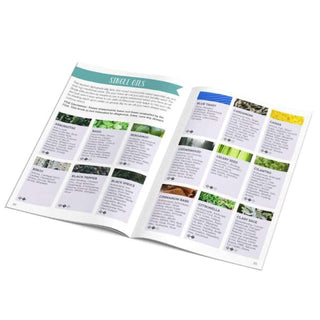 Everyday Essentials A-Z Guide