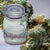 Exclusive Small Air Tight Stash Jar - Done