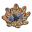 Dragon Fly