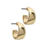 Gold Thick Mini Hoop Earrings