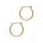 Gold Hoop Earrings