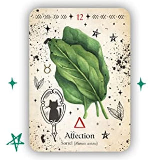 *Green Witch Oracle Cards - Tarot