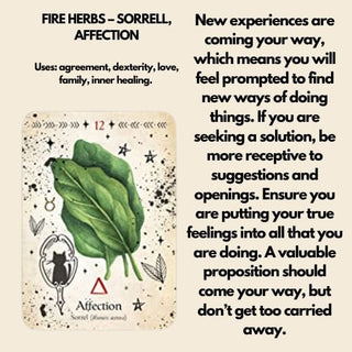 *Green Witch Oracle Cards - Tarot
