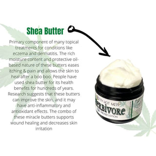 Herbivore CBD Infused Lotion 🌱