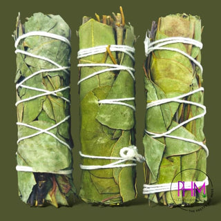 Eucalyptus Sage