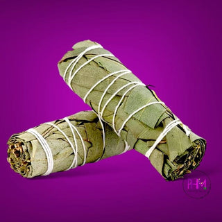 Eucalyptus Sage