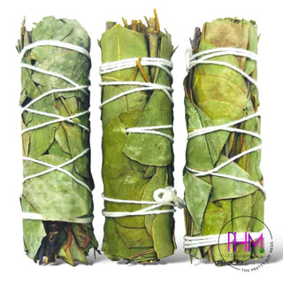 Eucalyptus Sage