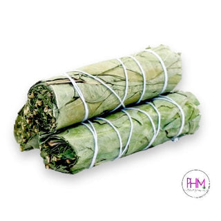 Eucalyptus Sage - 4 Inch