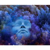 A Little Bit of Lucid Dreaming - Book