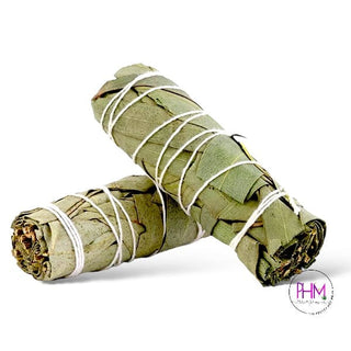 Eucalyptus Sage - 9 Inch
