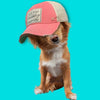 It’s Too Peopley Outside Distresserd Trucker Cap - Accessory