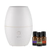 Mistifier Value Pack Essential Oil Diffusers + 3 bonus oils