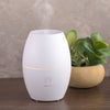 Mistifier Value Pack Essential Oil Diffusers + 3 bonus oils