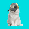 My Dog and I Talk Shit About You Distressed Trucker Hat -