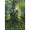 Natures Whispers Oracle Cards - Done