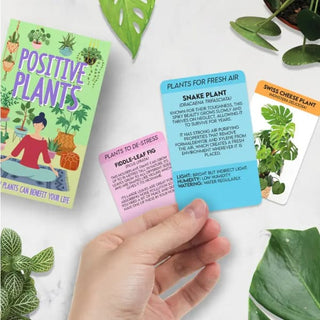 Positive Plants Cards - Information