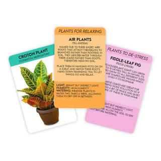 Positive Plants Cards - Information