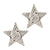 Silver Stud Earrings by Laura Janelle - Star