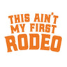 This Aint My First Rodeo