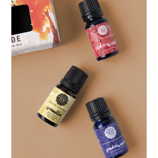 The Cozy Fireside Essential Oil Collection - Done