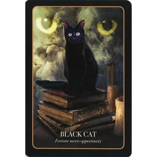The Halloween Oracle 💀 - Done