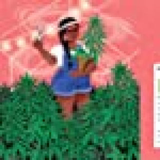 The Joy of Cannabis - Books