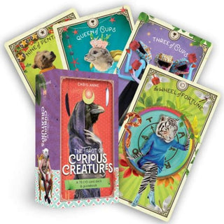 The Tarot Of Curious Creatures 🌙 - Cards
