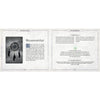 The Witch’s Oracle - Tarot Cards