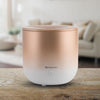 Vela Rose Gold Essential Oil Diffusers - Done