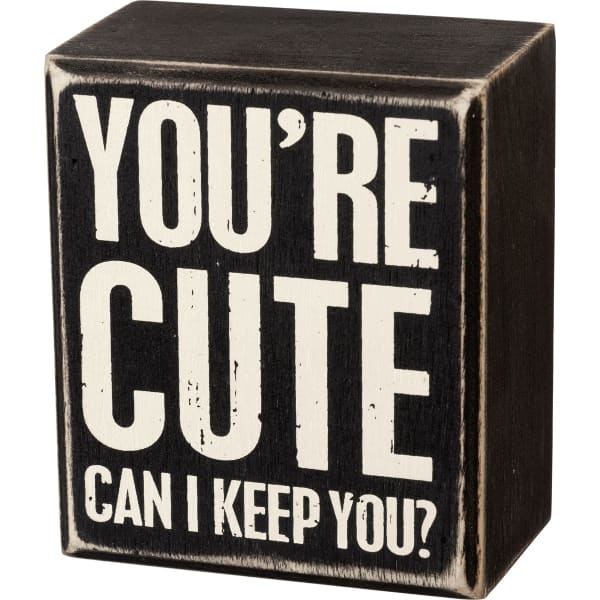 You’re Cute Can I Keep You Box Sign - box sign