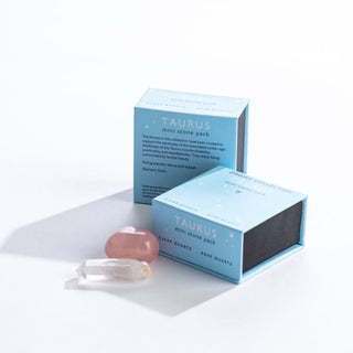Zodiac Collection: Mini Stone Pack Assortment by Geo