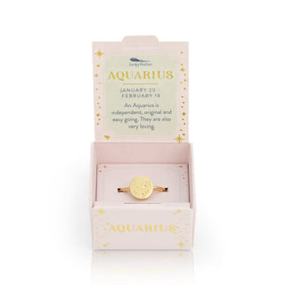 Cosmic Zodiac Signet Rings - Aquarius - Done